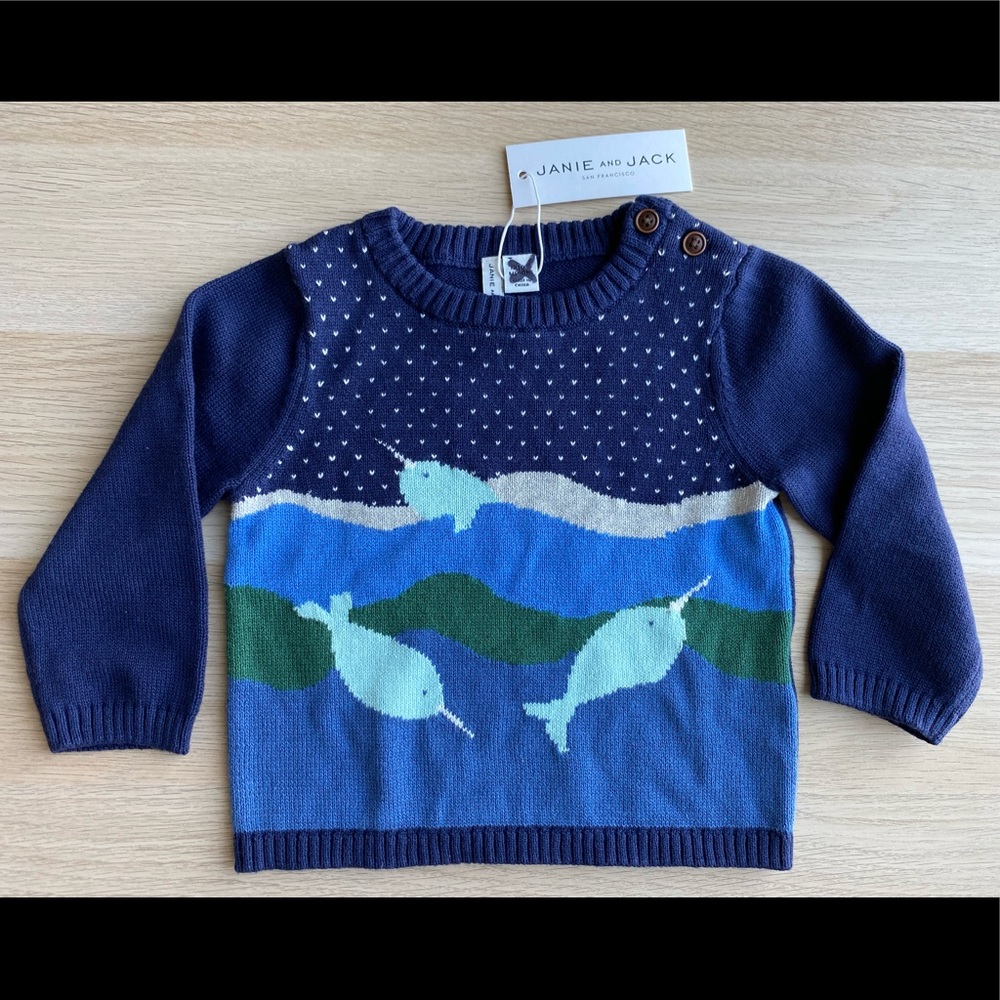 Janie and Jack Sweater